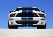 Shelby Cobra GT500 Show Car